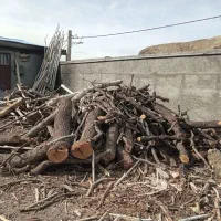 چوب بادام شومینه ای|خدمات باغبانی و درختکاری|تفرش, |دیوار