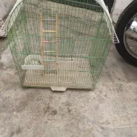 قفس بزرگ عروس هلندی با نردبان