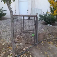 قفس اهنی|لوازم جانبی حیوانات|گلبهار, شهر جدید گلبهار|دیوار