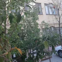 ۱۶۰ متر ویلایی/  ۲ خواب  / میعاد|اجارهٔ خانه و ویلا|مشهد, فرهنگیان (شهرک غرب)|دیوار
