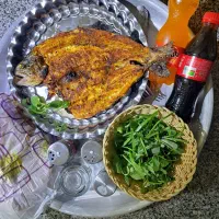 اقامتگاه خان بابا|اجارهٔ کوتاه‌مدت آپارتمان و سوئیت|شیروان (خراسان), |دیوار