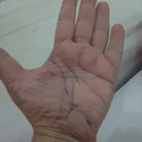 هلدینگ فال شاه بانو ژیان با ده سال سابقه|خدمات پذیرایی، مراسم|مشهد, کوثر|دیوار
