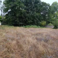 1000 متر زمین تاپ لوکیشن ویلایی نشین کلاردشت