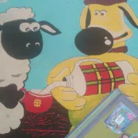 فرش کوک۶ متری