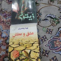 رمان|کتاب و مجله ادبی|تهران, مینای شمالی (مخبر)|دیوار