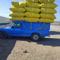 کاه نرم درجه یک معجون زنجان