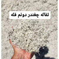 تفاله دو نم چناران