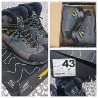 کفش کوهنوردی