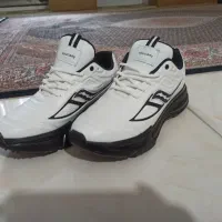 فروش کفش ساکسونی