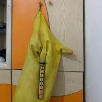 نی انبان حرفه ای