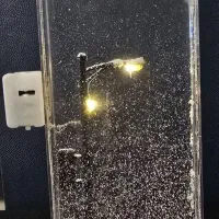 آباژور شب برفی