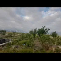 فروش زمین ۱۲۰۰ متری بانهال پسته در بینالود