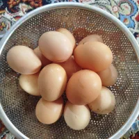 تخم مرغ محلی