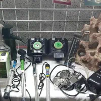 اکواریوم ،ماهی