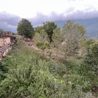 فروش زمین در روستای ولیکبن منطقه دودانگه|فروش زمین و ملک کلنگی|فریم, |دیوار