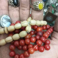 حراج واقعی فقط تا غروب