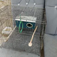 قفس با لوازم|لوازم جانبی حیوانات|قائم‌شهر, |دیوار