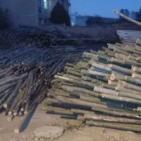 خریدوفروش چوب