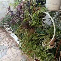 استند گل فلزی،گل و گلدان|گل و گیاه طبیعی|الوند, |دیوار