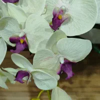 گل و گلدون|گل مصنوعی|تهران, ستارخان|دیوار