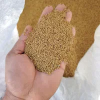 بذر یونجه رنجر