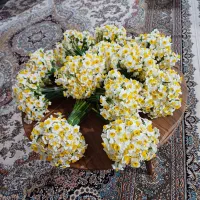 فروش گل نرگس