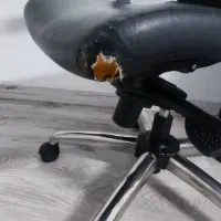 صندلی اداری|صندلی و نیمکت|تهران, صادقیه|دیوار