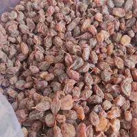 خرید و فروش خشکبار|خوردنی و آشامیدنی|خرمدره, |دیوار