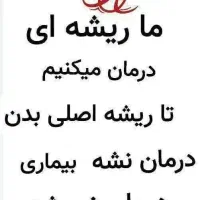 با گیاهان درمان بیما،،ریها،مشکلات رحمی وغیره|آرایشی، بهداشتی، درمانی|شیراز, شریف‌آباد|دیوار
