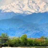 فروش زمین مسکونی ۲۰۰۰۰