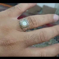 انگشترباباقوری نقره معاوضه قناری نر یا جوجه گرنچیک