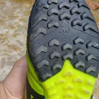 فروشی، اورجینال، اصل ویتنام