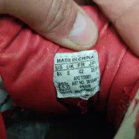 zx800|کیف، کفش، کمربند|تهران, بهمن یار|دیوار