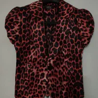 شومیز مجلسی|لباس|اصفهان, سروستان|دیوار