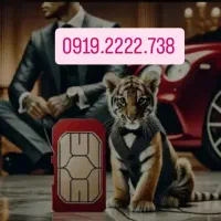 0919.2222.738فقط تا فردا ۲۹میلیون