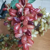 تزئینی|گل مصنوعی|ری, دیلمان|دیوار