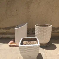 تعدادی گلدان سفالی توافقی