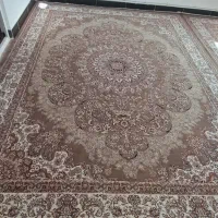 قالی کرمی و گردویی|فرش|سرپل ذهاب, |دیوار