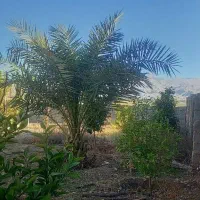 فروش خانه ویلایی در صالح آباد|فروش خانه و ویلا|صالح آباد (ایلام), |دیوار