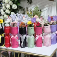 گل روز مادر ابهر