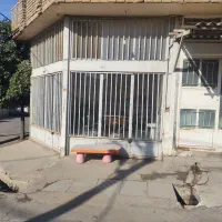 مغازه تجاری نبش بشتر ۴ کنار نانوایی قره جانلو|اجارهٔ مغازه و غرفه|مینودشت, |دیوار