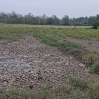 240-متر-زمین-مخصوص-سرمایه-گزاری