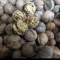 گردو مغزپرسفیدنورآباد|خوردنی و آشامیدنی|خاوه, |دیوار