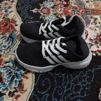 کفش|کیف، کفش، کمربند|خاش, |دیوار