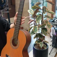 گیتار آکوستیک و کلاسیک یاماها پارسی همه مدل|گیتار، بیس، امپلیفایر|مشهد, آزادشهر|دیوار