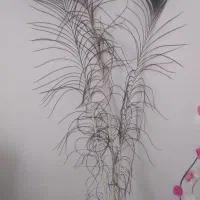 شاخه گل|گل مصنوعی|ایلام, |دیوار