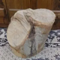 فروش یک قطعه موکت  ۶ متری و یک عدد کنده چوبی|موکت|شیراز, پودنک|دیوار