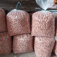 بادام زمینی|خوردنی و آشامیدنی|پارس‌آباد, |دیوار