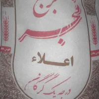برنج طارم محلی وفجرگرگان