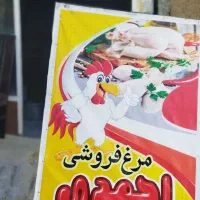 مرغ به نرخ تعاونی|عمده‌فروشی|جوانرود, |دیوار